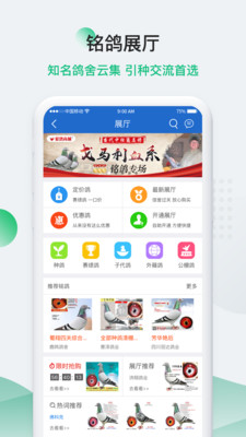 中国信鸽信息网在线拍鸽APP免费下载-中国信鸽信息网赛事直播最新版本下载