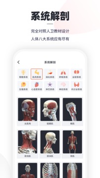 口袋人体解剖app最新版下载-口袋人体解剖手机清爽版下载