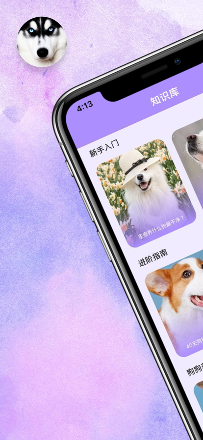 腾腾宠物社区app下载-腾腾宠物社区手机助手app手机版v1.0