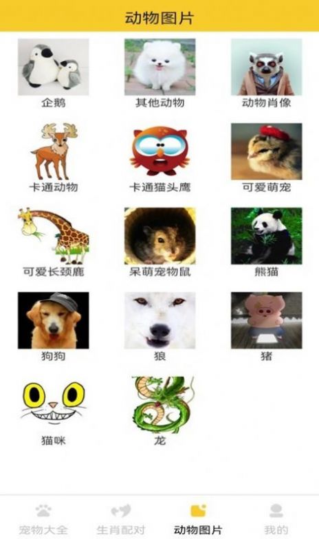 猫狗宠物大全app-猫狗宠物大全生活服务app安卓版v2.0.2