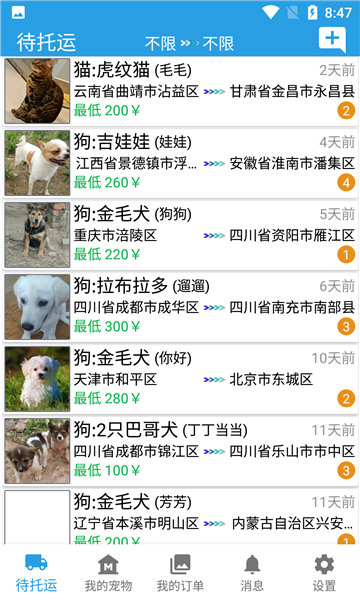 宠物运输官方下载-宠物运输app下载v3.01
