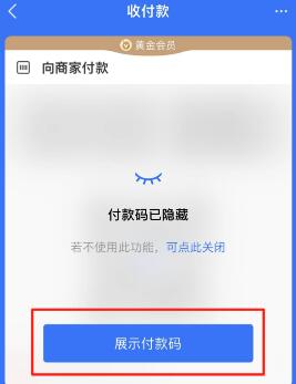 支付宝自动隐藏付款码怎么设置