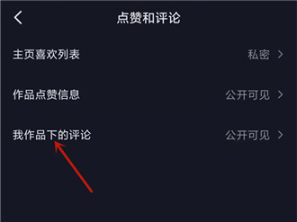 抖音怎么设置不让别人看到评论?
