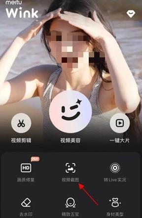 Wink软件怎么进行视频截图