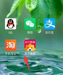 苏宁易购怎么设置小额免密支付?