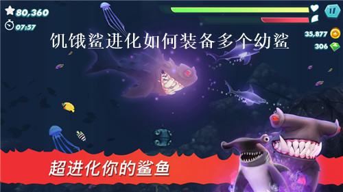 饥饿鲨进化怎么装备多个幼鲨?