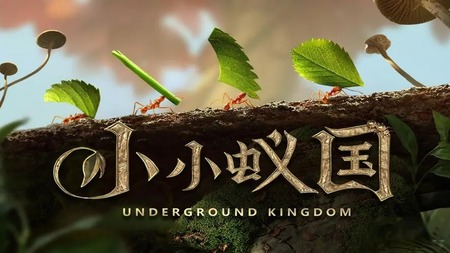 小小蚁国兑换码永久最新2023?