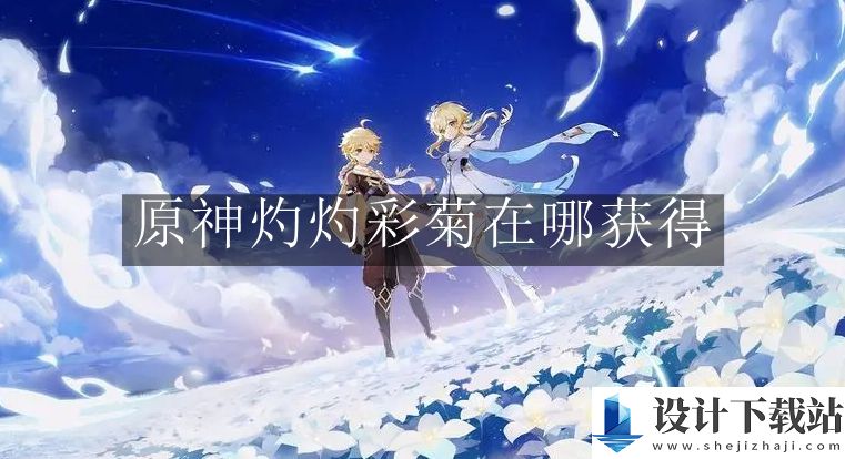 原神灼灼彩菊获得攻略
