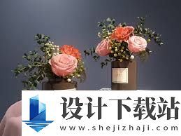 怎么样桌面能出现玫瑰花 桌面玫瑰花动态壁纸设置教程