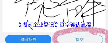 湖南企业登记app如何查看签字状态,教你轻松掌握签字详情