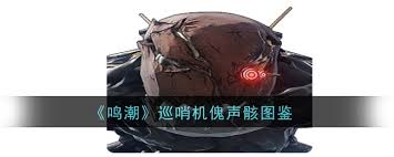 鸣潮巨布偶声骸有什么效果,鸣潮巨布偶声骸效果介绍