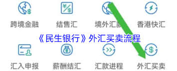 民生银行外汇买卖如何操作,民生银行外汇买卖操作方法