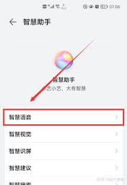 小艺没有智慧语音怎么办