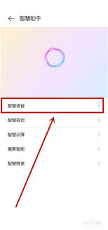小艺没有智慧语音怎么办