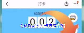 马蜂窝如何打卡,马蜂窝怎么进行打卡